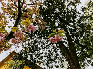 Appartamento Bologna (Stadt) Registrazione all'aperto 8