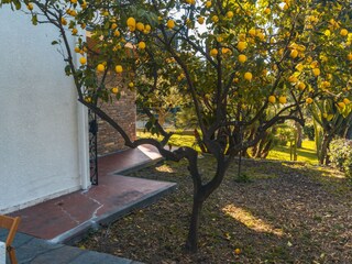 Appartamento Bordighera Ambiente 22