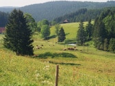 Blick von unserem Hof ins Tal