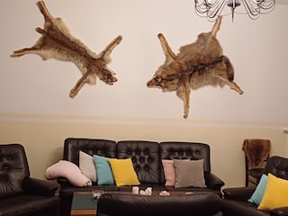 Ferienhaus Braunsroda Wohnzimmer 7