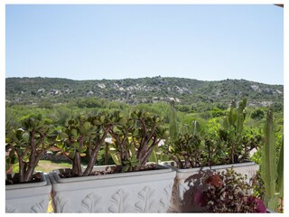 Apartamento Porto Rotondo Entorno 18