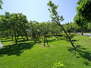 Appartement San Felice del Benaco Omgeving 35