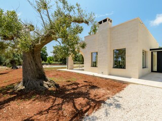 Villa Ostuni Entorno 61
