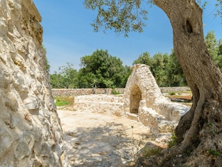 Villa Ostuni Environment 55