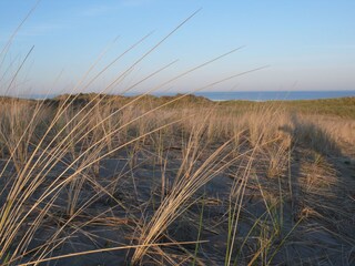 Villa Julianadorp Ambiente 14