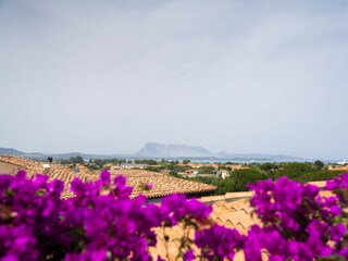 Casa per le vacanze Budoni Registrazione all'aperto 10