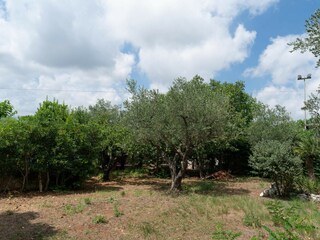 Casa de vacaciones Fasano Entorno 32