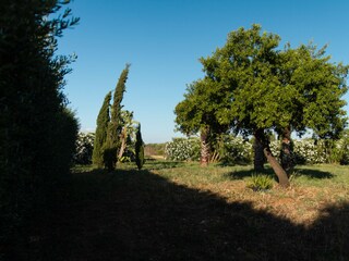 Appartement Sciacca Buitenaudio-opname 5