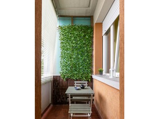 Apartment Bologna (Stadt) Outdoor Recording 3