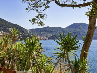 Apartamento Recco Entorno 14