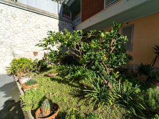 Apartment Ospedaletti Außenaufnahme 2