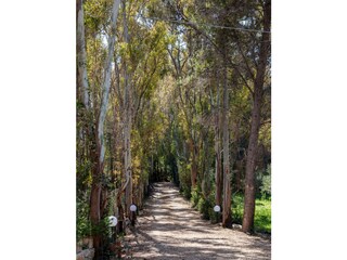 Villa Scopello Registrazione all'aperto 3