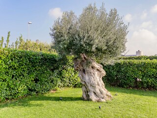 Villa Polignano a Mare Ambiente 55