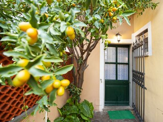 Apartment Bergeggi Außenaufnahme 8
