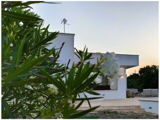 Villa San Michele Salentino Registrazione all'aperto 6