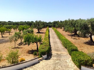 Villa San Michele Salentino Ambiente 36