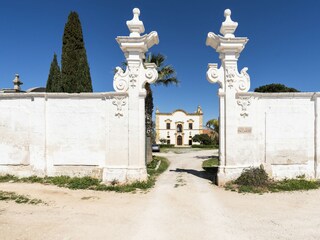 Appartamento Fasano Registrazione all'aperto 7