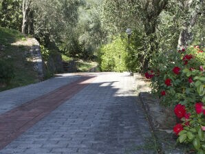 Apartment Charme and Comfort near Cinque Terre - CM