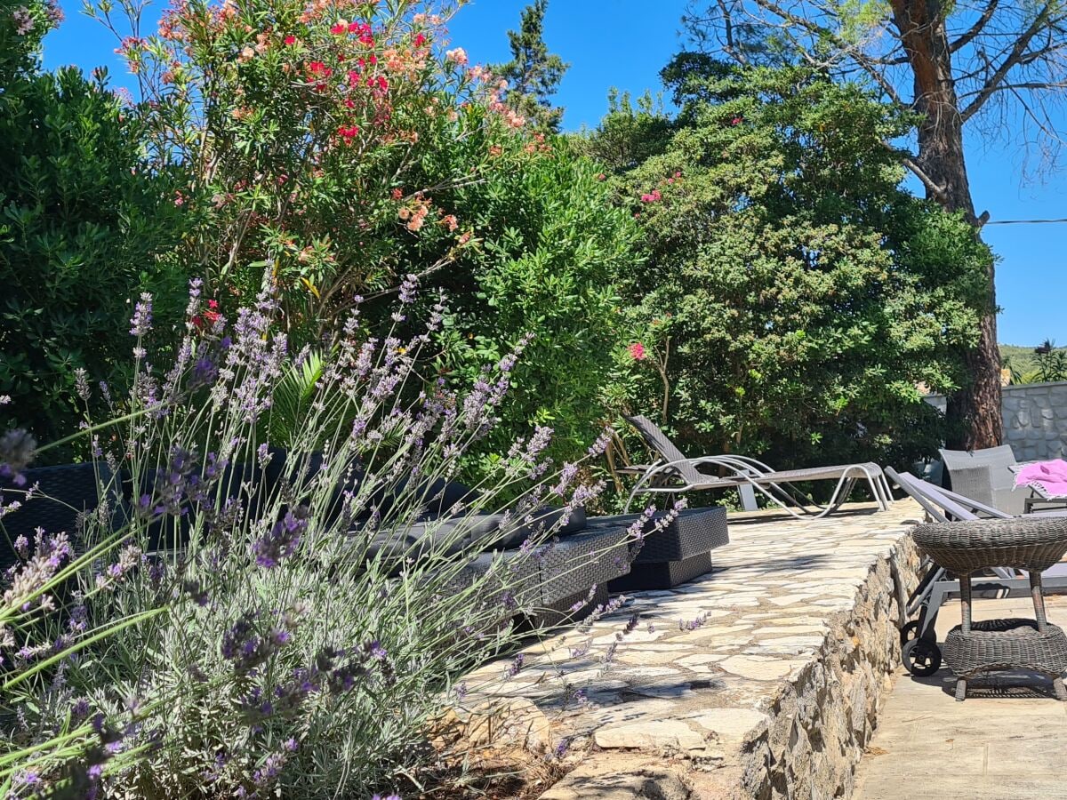 Lavendel Ecke