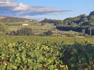 Casa per le vacanze Mouriès Registrazione all'aperto 19