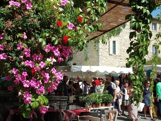Casa per le vacanze Mouriès Ambiente 32