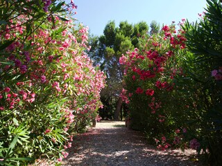 Casa per le vacanze Mouriès Registrazione all'aperto 9