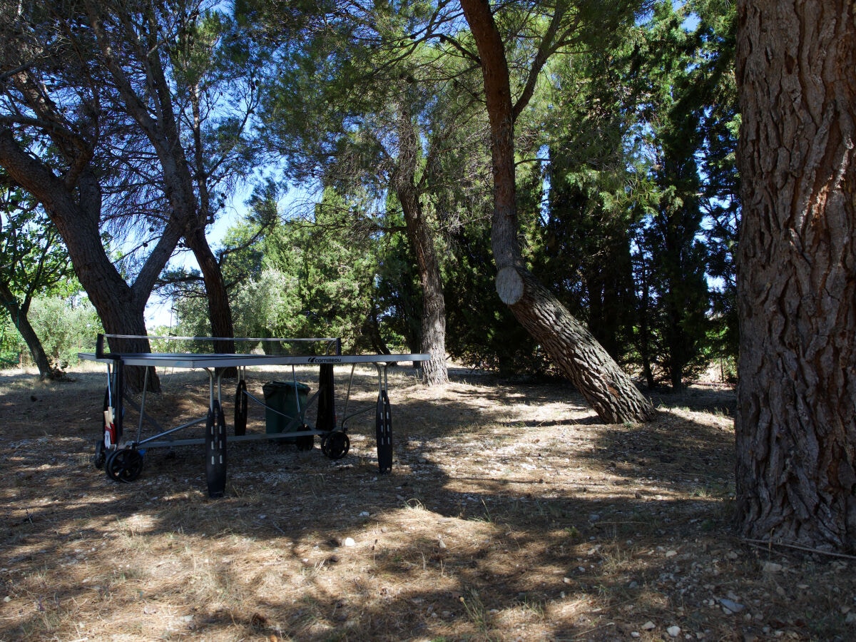 Petanque Platz