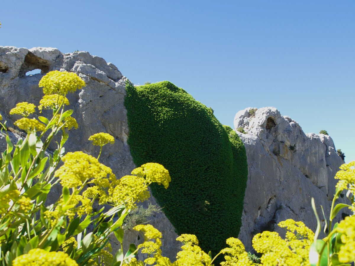 Alpilles Mouries