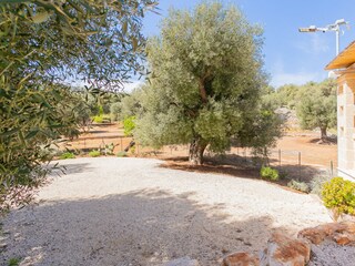 Villa Fasano Omgeving 42