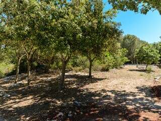 Villa Ostuni Ambiente 63