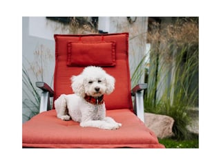 Appartement de vacances Lohme Enregistrement extérieur 7