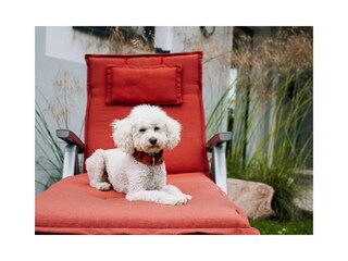 Ferienwohnung Lohme Außenaufnahme 7