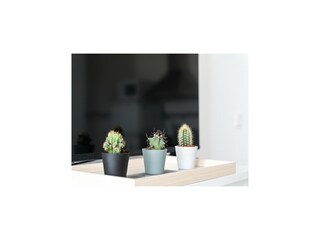 Appartement Fuengirola Équipement 17