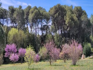 Casa de vacaciones Puisserguier Grabación al aire libre 2