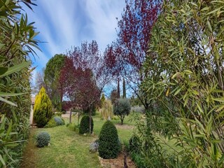 Maison de vacances Puisserguier Enregistrement extérieur 6