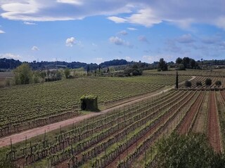 Ferienhaus Puisserguier Umgebung 35