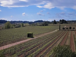 Maison de vacances Puisserguier Environnement 35