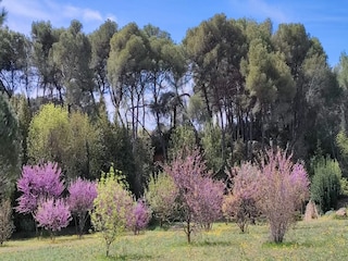 Maison de vacances Puisserguier Enregistrement extérieur 8