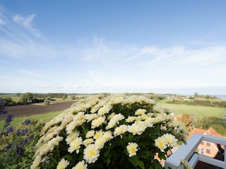 Meerblick