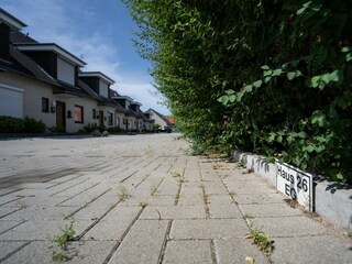 Hauptansicht