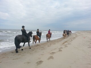 Vakantiehuis Callantsoog Omgeving 36