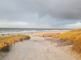 Vakantiehuis Callantsoog Omgeving 22