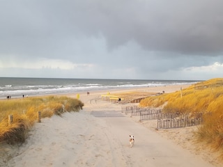 Vakantiehuis Callantsoog Omgeving 23