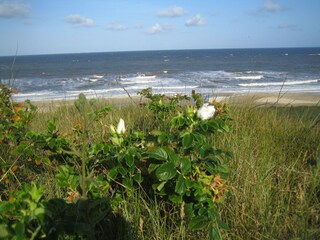 Vakantiehuis Callantsoog Omgeving 31