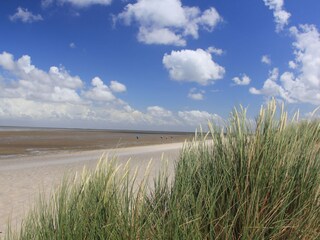 Strand in Schillig, kurzer Fußweg vom Häuschen entfernt