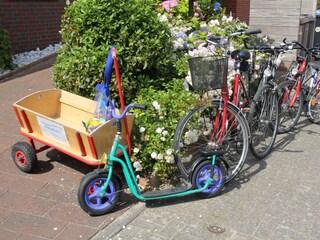 Brötchenfahrrad, Roller, Bollerwagen