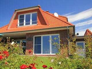 Südterrasse auf d. Rückseite mit Blick auf das Feld