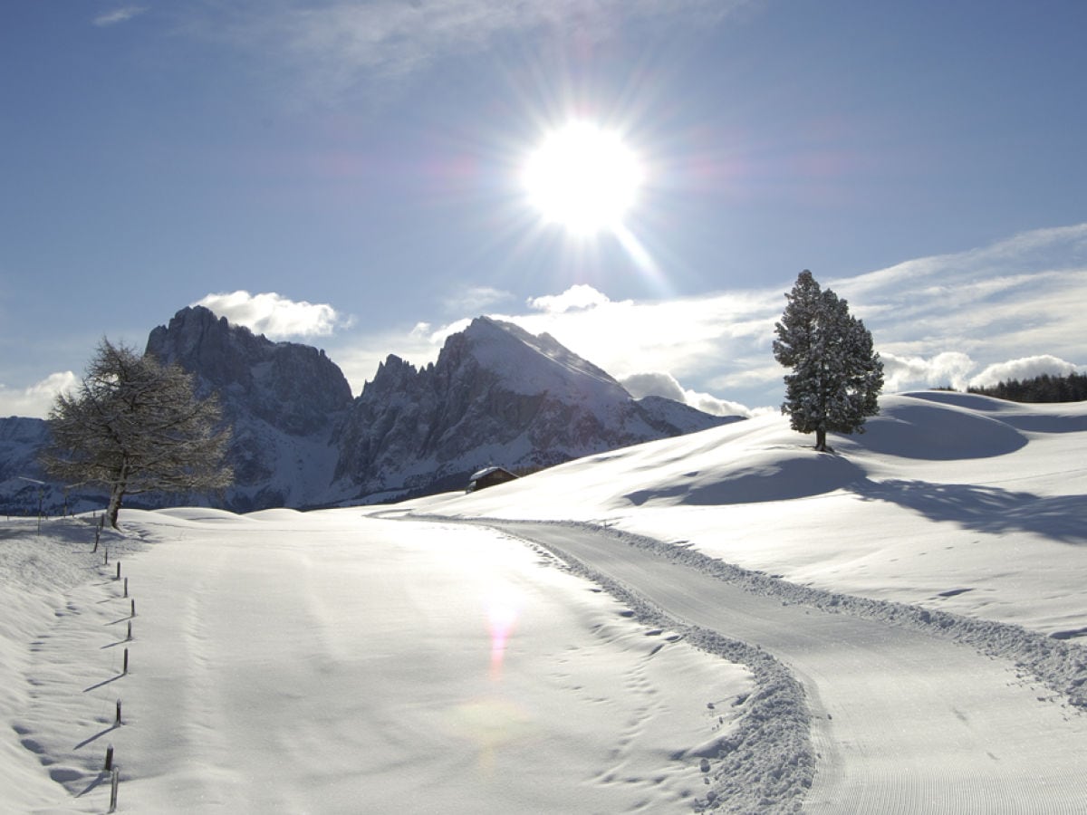 Winter Seiseralm mit Platt/Langkofl