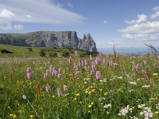 Appartamento per vacanze Kastelruth Ambiente 23