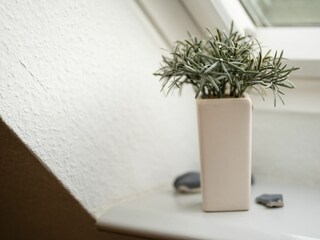 Dekoratives Detail